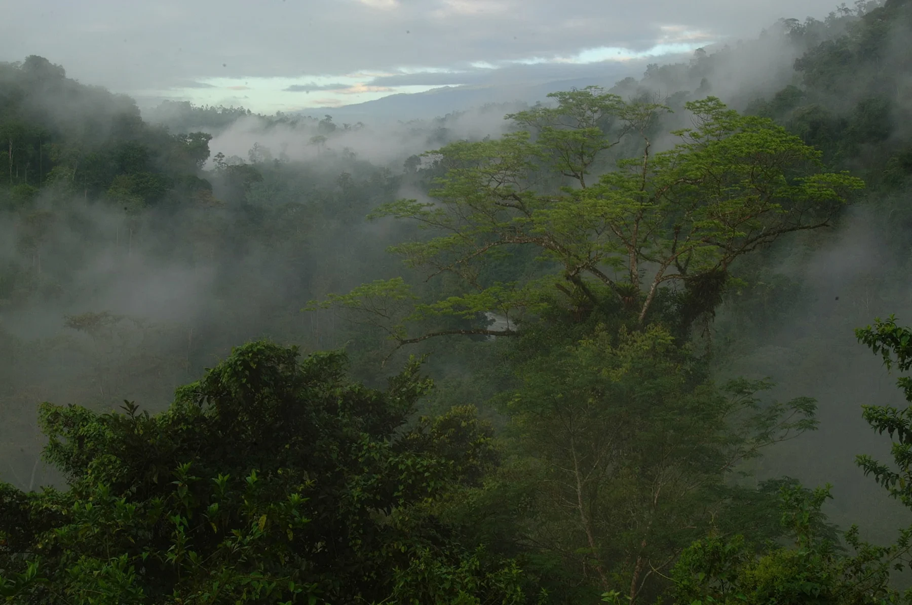 Find your next adventure · Costa Rica